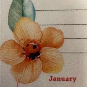 Meet your Posher, Baudelia